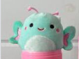 Reina Micromallow.jpg