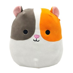 Everett, Squishmallows Wiki