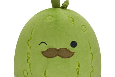 https://static.wikia.nocookie.net/squishmallowsquad/images/e/e7/Charles.jpg/revision/latest/smart/width/386/height/259?cb=20230724230339