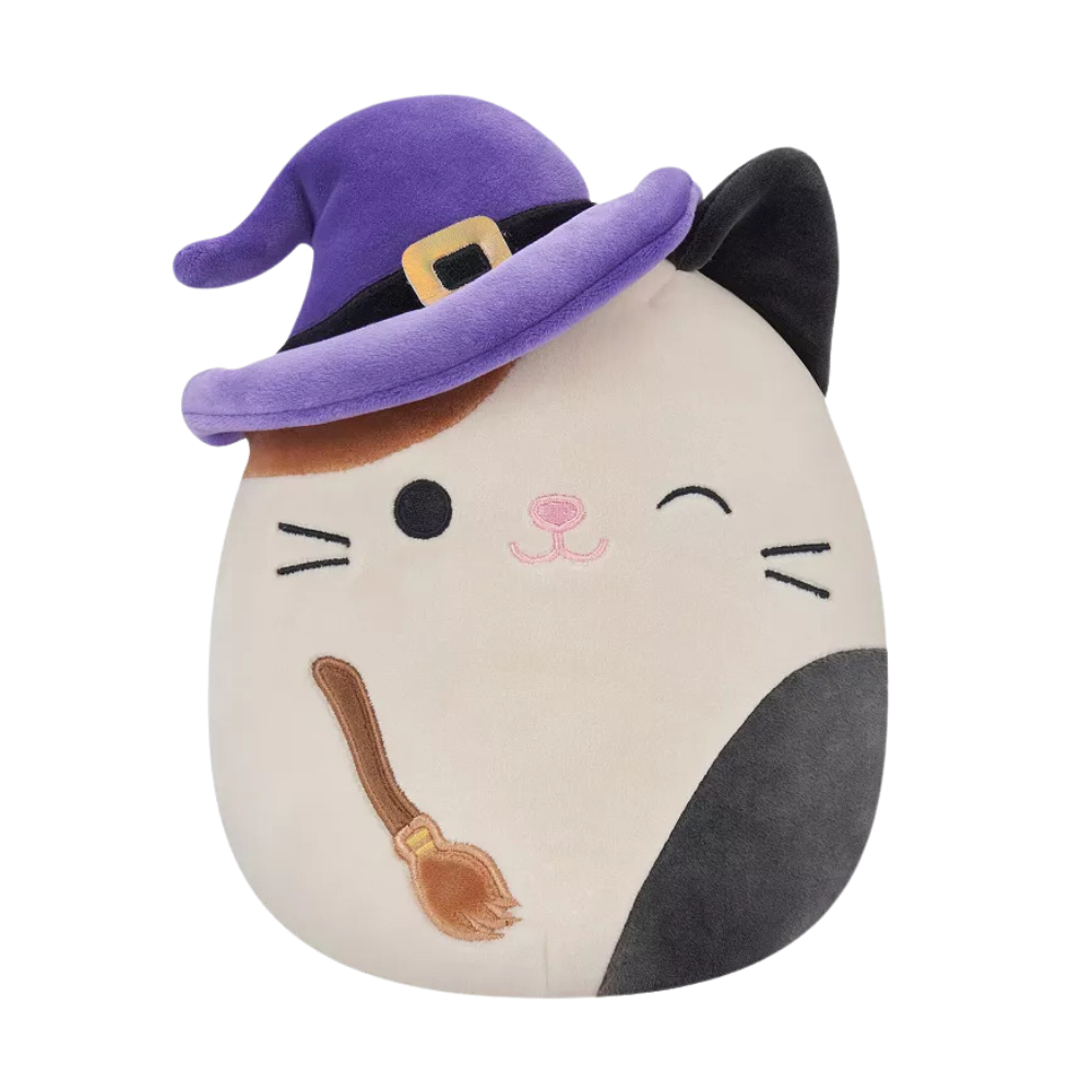 https://static.wikia.nocookie.net/squishmallowsquad/images/e/ea/Cam-Witch.png/revision/latest?cb=20230816133404