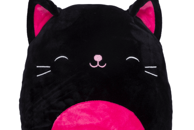 10” Mexican Frank the Cat Squishmallow hugmee