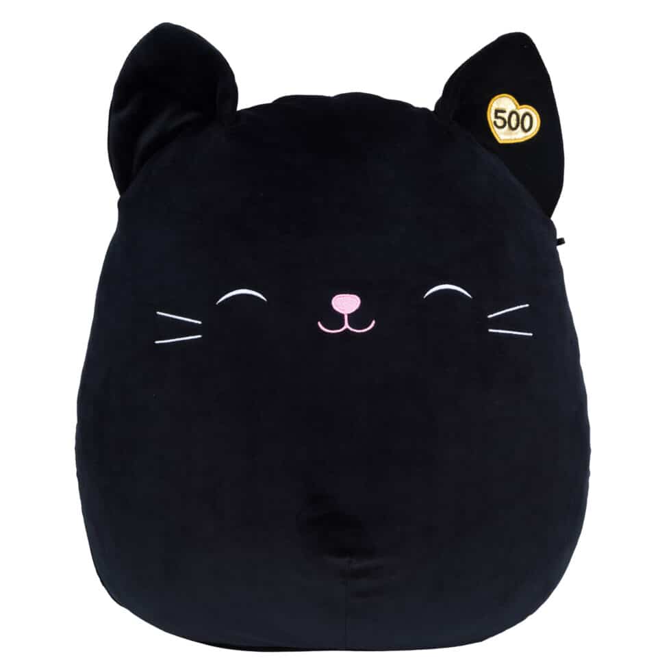 Cam, Squishmallows Wiki