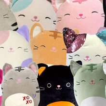 Squishmallows Wiki Fandom Tiktok has led to a bunch of cultural trends this year including (but not at all limited to) our like most viral toys on tiktok, these squishmallows are a hot commodity. squishmallows wiki fandom