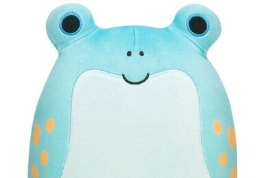 Squishmallows 16 Fania The Pink Frog Exclusive India
