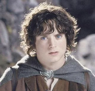 Frodo Bolson | Wiki El señor | Fandom