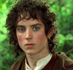 Frodo Baggins