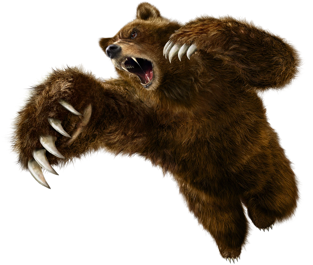 kuma Kuma Slider – Shop at Mizuma