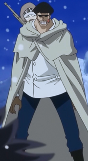 Vergo at Age 28.png