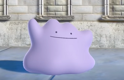 Ditto, Smashpedia