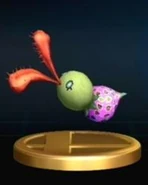 Bucculus Trophy.jpg (5 KB)