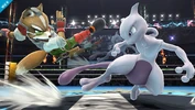 Fox and Mewtwo.