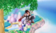 Ryu's neutral air.