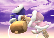 Ice Climbers' Up Special Move, Belay.