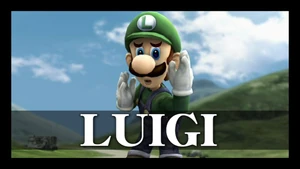 Luigi in the .