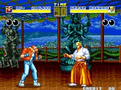 Terry as he appears in the first Fatal Fury against Geese
