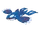 Kyogre