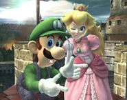 Luigi and Peach on Castle Siege