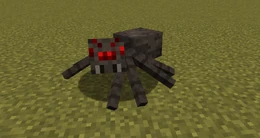 Spider in Minecraft