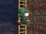 Yoshi on ladder