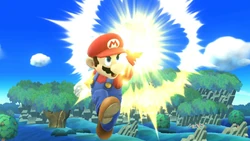 Super Jump Punch SSBWU