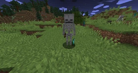 Skeleton in Minecraft