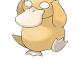Psyduck (Pokemon)