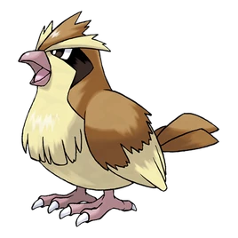 016Pidgey
