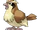 Pidgey