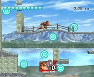 Donkey Kong in SSBB's Target Smash!! (Lvl.1)