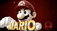 Mario-Victory-SSB4