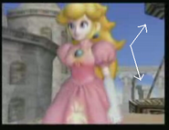 Two platforms from the Temple stage that appear in the Special Movie but not during gameplay.