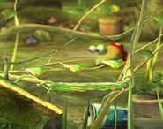 Pikmin1