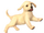 Nintendog