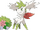 Shaymin