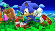 Sonic wii u