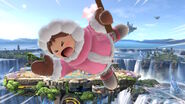 Ice Climbers (Nana)