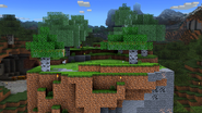 Minecraft Stage Forest