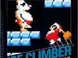 Ice Climber (game)