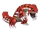 Groudon