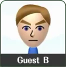 The Pre-Made version Mii Swordfighter's designed is based of.