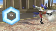 Falco Reflector SSBWU.jpg (197 KB)
