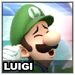 Luigi Icon SSBWU