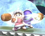 An official Super Smash Bros. Brawl screenshot of Popo and Nana using Squall Hammer together, from Smash Bros. DOJO!!