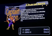 SSB Character Description- Captain Falcon