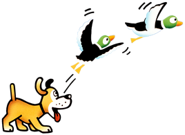 DuckHuntDuo