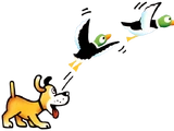 Duck Hunt