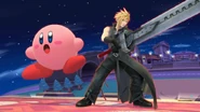 Cloud alongside with Kirby.