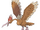 Fearow