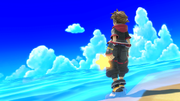 Sora SSBU Congratulations