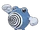 Poliwhirl